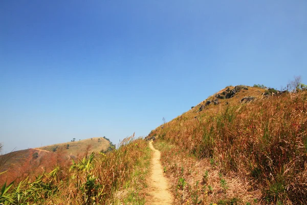 自然歩道とタイの土井Pha唐の丘で山の上の乾燥草原 — ストック写真