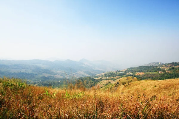 谷の山の上の黄金の乾いた草 — ストック写真