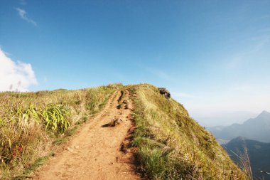 Tayland 'ın kuzeyindeki Phu Chee Fah tepesinde mavi gökyüzü ile dağdaki doğal patika ve kuru otlaklar
