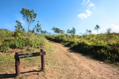 Tayland 'daki dağdaki 