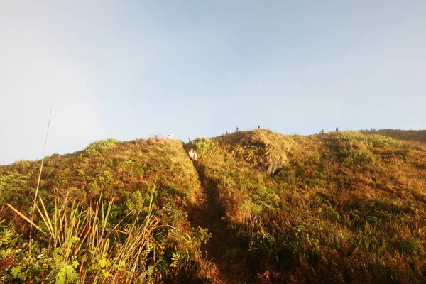 2011 그라스 북부의 파산에서 안개가 계곡을 실루엣 관광객 — 스톡 사진