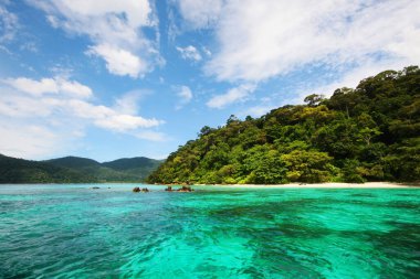Güzel yeşil turkuaz deniz suyu cennette yaz mevsiminde deniz manzarası sakin okyanus ve mavi gökyüzü Lipe Adası, Tayland 'daki tropik plaj bitkileri ve ormanlarda