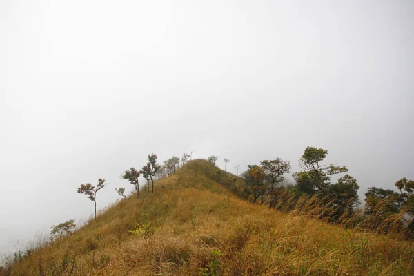 霧と谷の山の上に雲 タイのジャングルの丘を覆う霧 — ストック写真