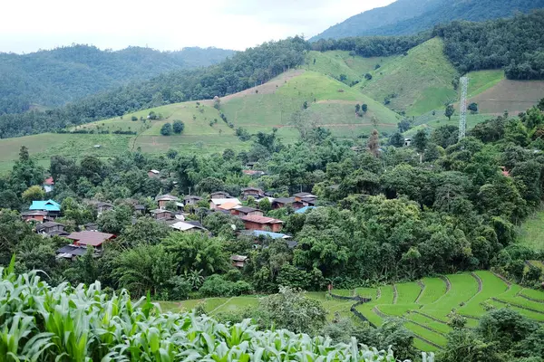 Paisaje Aldea Tribu Colina Del País Los Campos Arroz Arroz — Foto de Stock