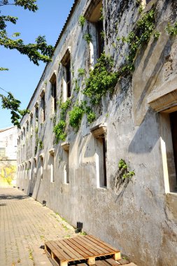 Eski dövmeli ahşap pencereli, yeşil sarmaşıklı, grunge beton duvarlı, dış görünüşü Tayland 'ın Bangkok şehrinde güneş ışığıyla kaplı antika bir bina. 