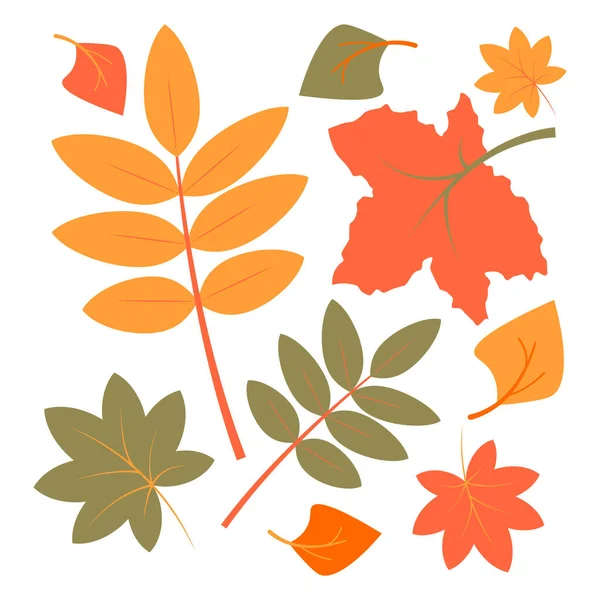 Colorful autumn leaves set — Stock Vector