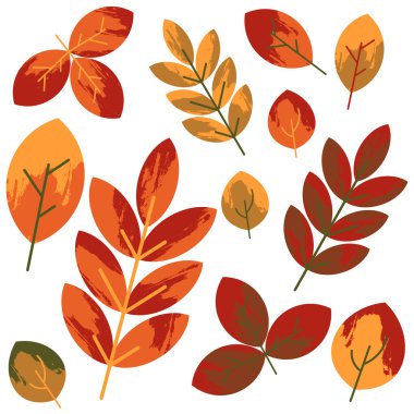 Renkli sonbahar yaprakları