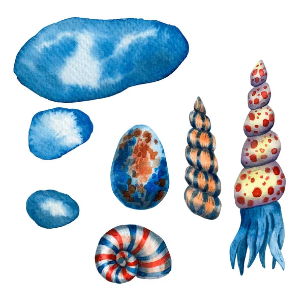 Niedliche blaue Aquarell-Blot-Textur. Handgezeichnetes Tintenfischbanner. Jurassic Unterwassertier. Fun Design für Jungen. Uderwater Tintenfisch Charakter. Grenzrahmen. Exotisches Lehrbuch. Muscheln und Weichtiere. — Stockfoto