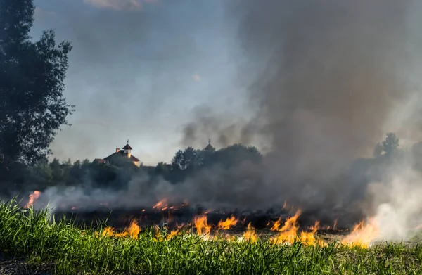 Tráva Hoří Louce Ekologická Katastrofa Oheň Kouř Zničí Veškerý Život — Stock fotografie