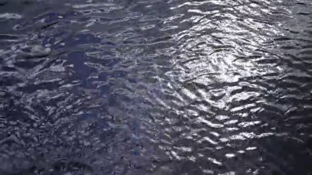 Oslnivý Povrch Vody Řas Pod Vodou Textura Pozadí — Stock video
