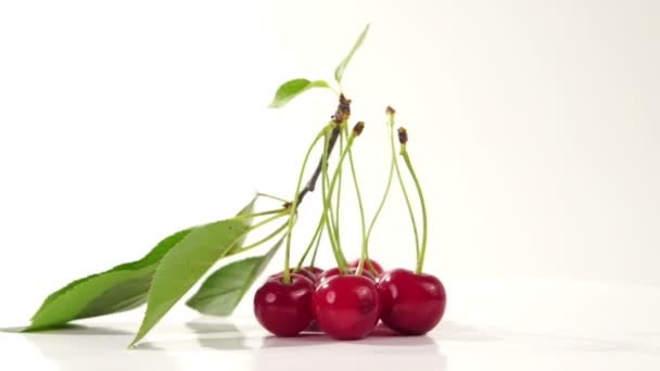 Cerezas Con Tallos Giran Sobre Fondo Blanco — Vídeo de stock