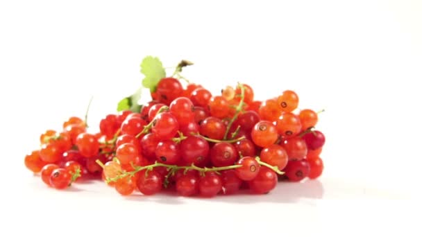 Ripe Tasty Berries Red Currant White Plate White Background — Stock Video