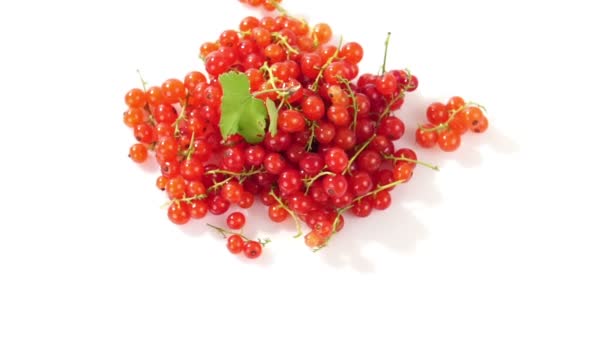 Ripe Tasty Berries Red Currant White Plate White Background — Stock Video