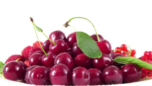 Assorted Berries Rotate White Plate White Background — Stock Video