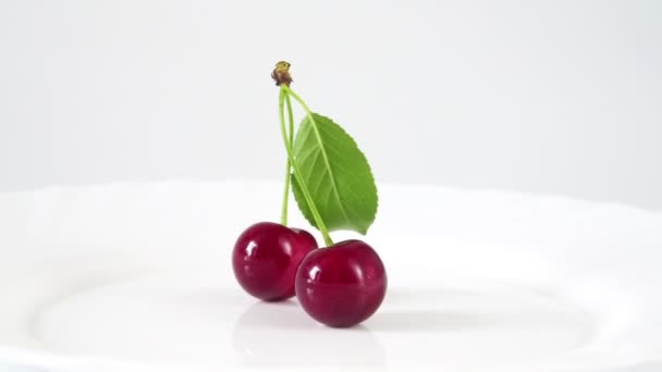 Duas Cerejas Frescas Pecíolo Com Uma Folha Verde Fundo Branco — Vídeo de Stock