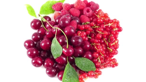 Assorted Berries Rotate White Plate White Background — Stock Video