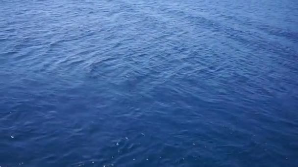 Movimento Água Superfície Ondas Água Azul Belo Fundo Com Espaço — Vídeo de Stock
