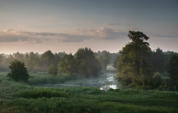 Niebla de la mañana sobre la llanura inundable del río al amanecer. — Foto de Stock