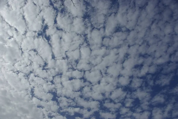 Light Types Clouds Early Sky Beautifully Float Left Streams Summer — Stock Photo, Image