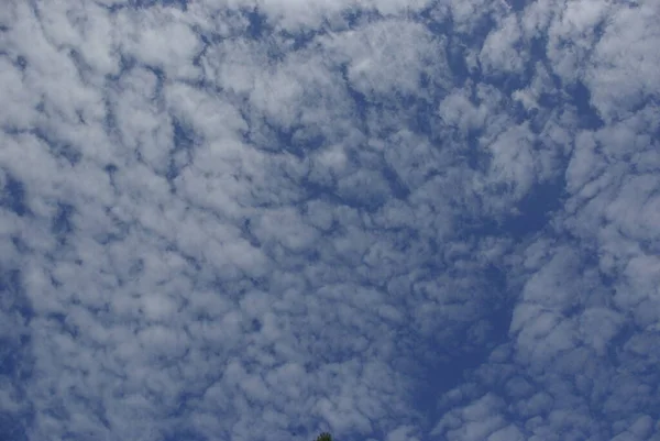 Light Types Clouds Early Sky Beautifully Float Left Streams Summer — Stock Photo, Image