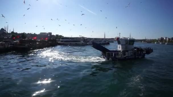Mouettes Dessus Navire Dans Port Istanbul — Video