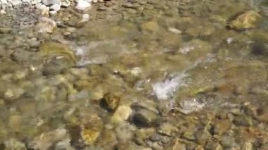 Dağ nehrinin hızlı akıntısı. Temiz, soğuk şeffaf su güneşte parıldıyor.