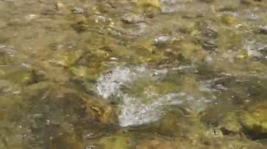 Dağ nehrinin hızlı akıntısı. Temiz, soğuk şeffaf su güneşte parıldıyor.