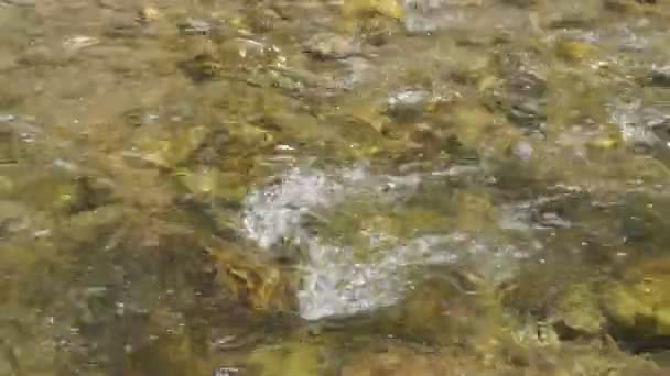 Gwałtowny Nurt Górskiej Rzeki Czysta Zimna Przezroczysta Woda Błyszczy Słońcu — Wideo stockowe