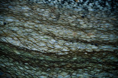 Nehirde köpük var. Suyun yüzeyindeki soyut çizimler.