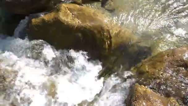 Eine Schnelle Strömung Des Gebirgsflusses Sauberes Kaltes Transparentes Wasser Funkelt — Stockvideo