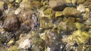 Dağ nehrinin hızlı akıntısı. Temiz, soğuk şeffaf su güneşte parıldıyor.