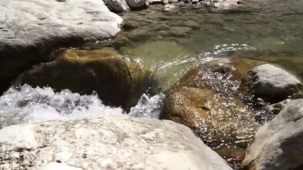 Eine Schnelle Strömung Des Gebirgsflusses Sauberes Kaltes Transparentes Wasser Funkelt — Stockvideo