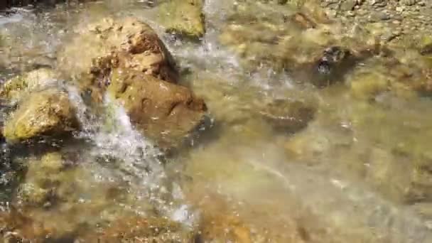Быстрое Течение Горной Реки Чистая Холодная Прозрачная Вода Блестит Солнце — стоковое видео
