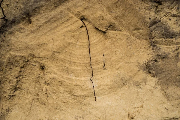 砂の採石場。テクスチャ。生産の痕跡. — ストック写真