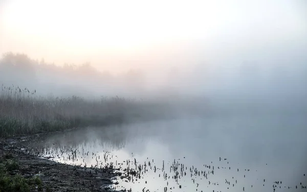 Niebla de la mañana sobre el lago — Foto de Stock