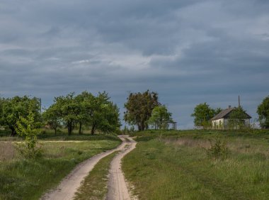 Çalıların arasından geçerek eski eve giden yol..