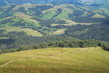 Karpat dağlarında at biniciliği.