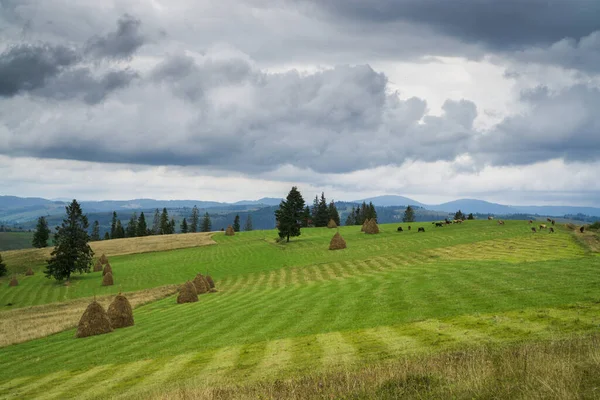 Paisaje Montaña Con Césped Segado Pajar Nubes Lluvia Oscura — Foto de Stock