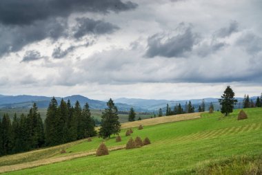 Çimleri biçilmiş dağ manzarası, saman yığınları ve kara yağmur bulutları