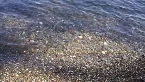 Açık Şeffaf Suda Çok Renkli Deniz Taşları Deniz Dalgası Güneşin — Stok video