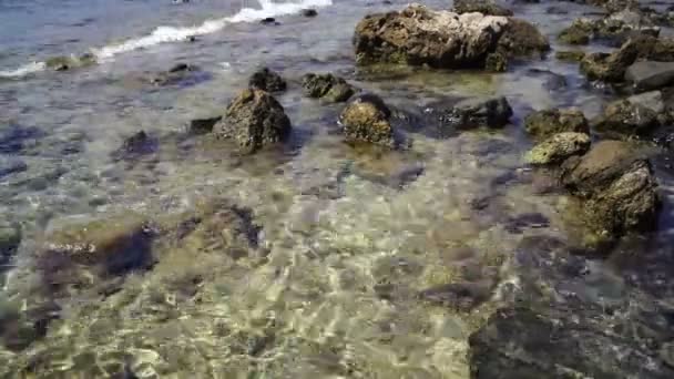 Olas Mar Espumosas Entre Piedras — Vídeos de Stock