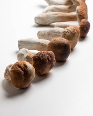 Taze toplanmış domuz mantarı. Kahverengi şapkalı Boletus..