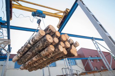 Bir ahşap atölyesinde elektrikli vinç ipiyle kütükleri kaldırmak..