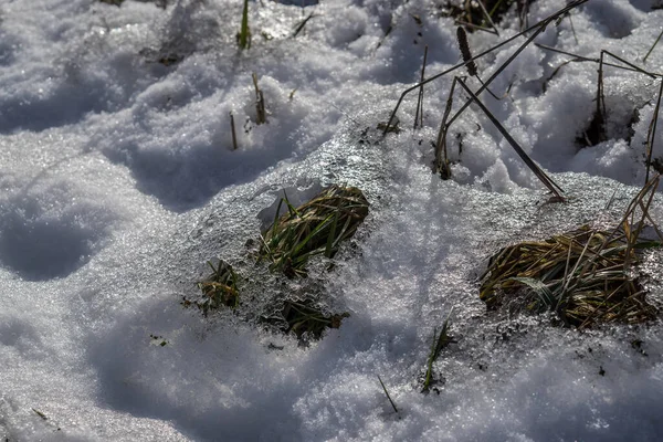 Тающий Весенний Снег Поле Фрагменты Закрываются — стоковое фото