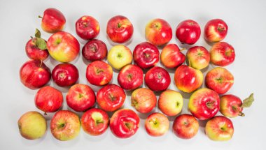 Beyaz arka planda elmalar. Yukarıdan görüntüle.