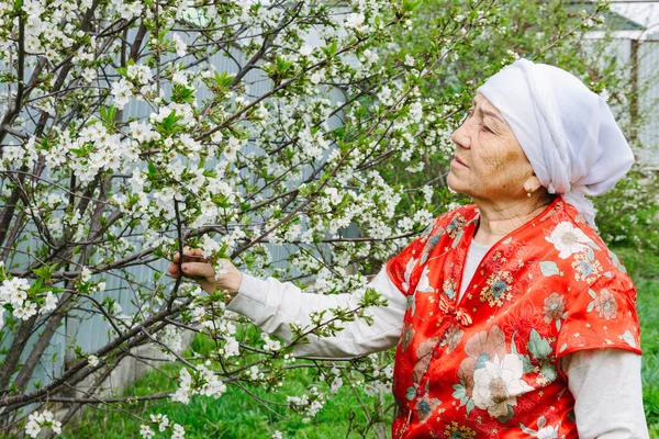 Portrait of an Asian elderly woman  in a spring garden, backyard