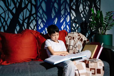 Kanepede oturmuş kitap okuyan Asyalı bir çocuk.