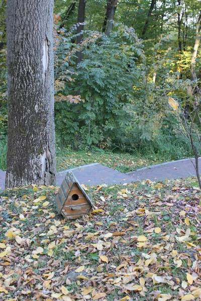 Birdhouse Cerca Árbol Parque Otoño — Foto de Stock