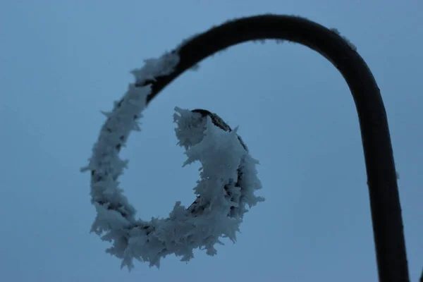 Wrought iron element covered with hoarfrost in frosty weather