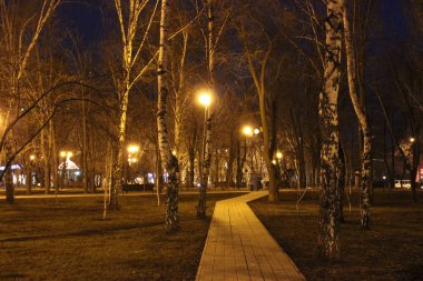 Ağaçlı Donetsk gece parkı. Donetsk, Ukrayna